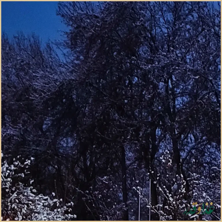 مجتمع دشت بهشت