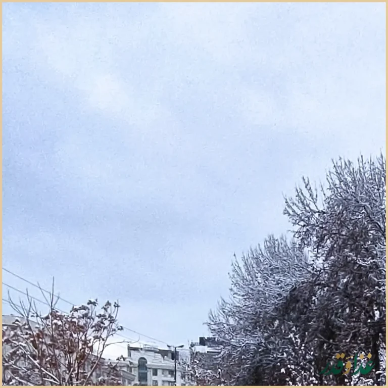 مجتمع دشت بهشت