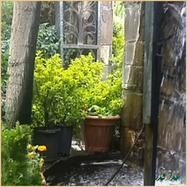 باغ رستوران دایی اکبر