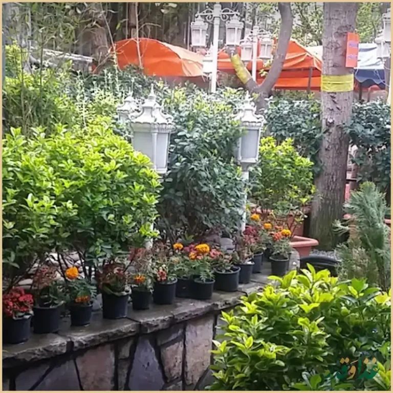 باغ رستوران دایی اکبر