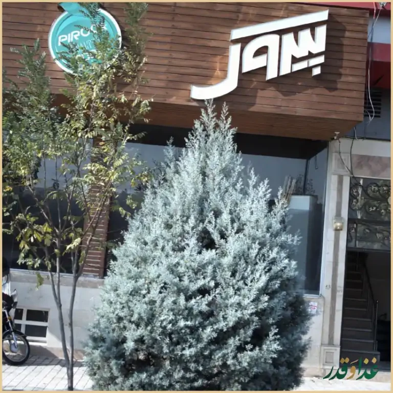 پیتزا پیروک