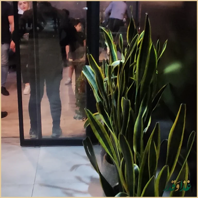 کافه رستوران پینار