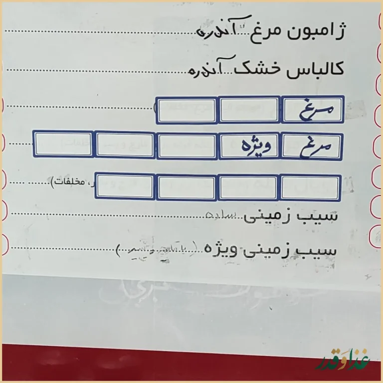 فلافل و ساندویچ منصور