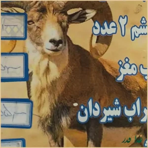 طباخی محمد سنندجی