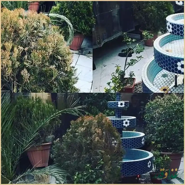 کافه رستوران تخت جمشید