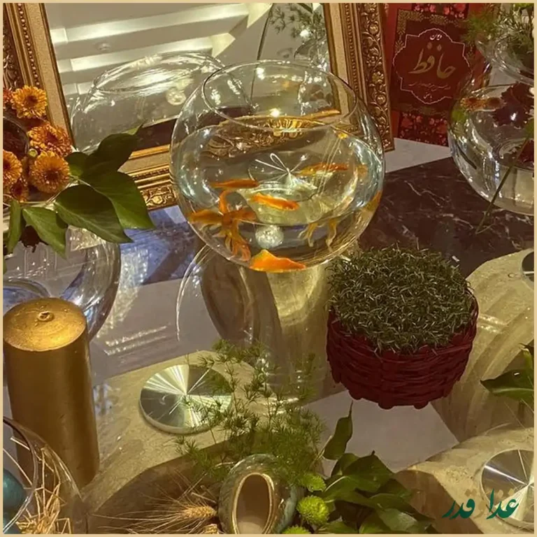 رستوران اكبر جوجه