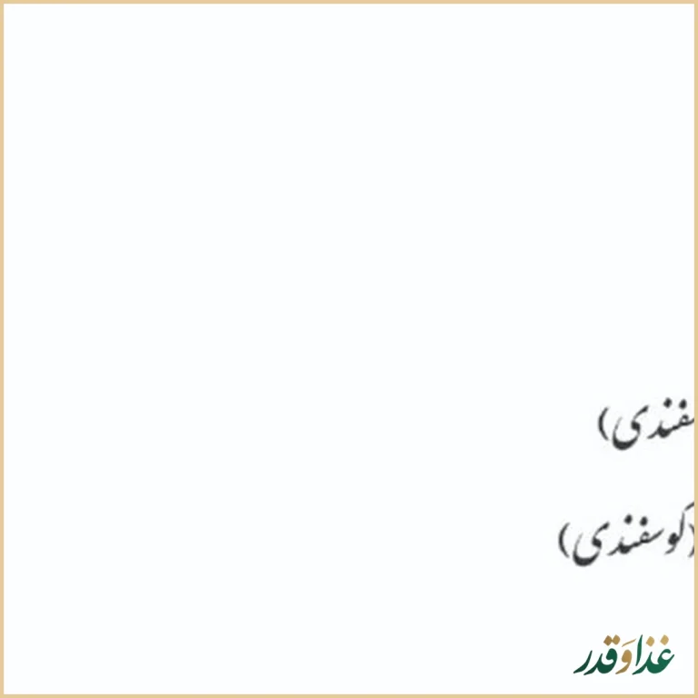 رستوران درباری ۱۱۰