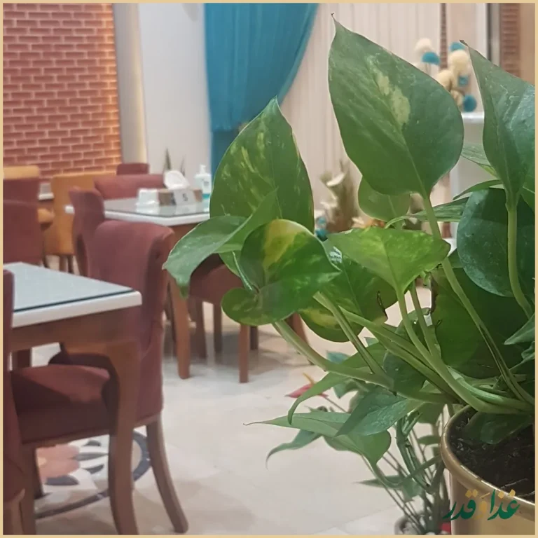 رستوران درباری ۱۱۰