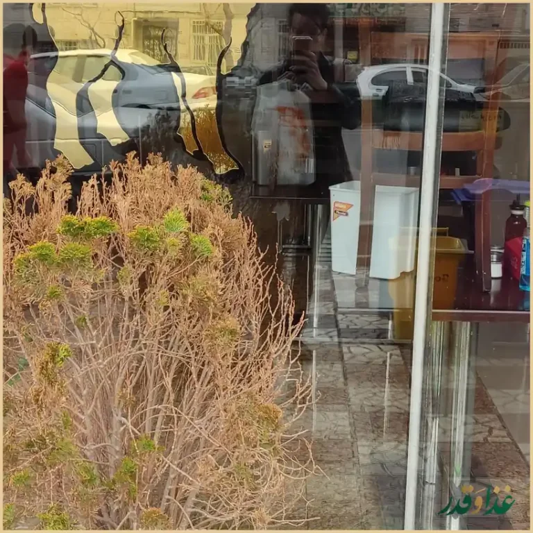 طباخی بره کوچولو