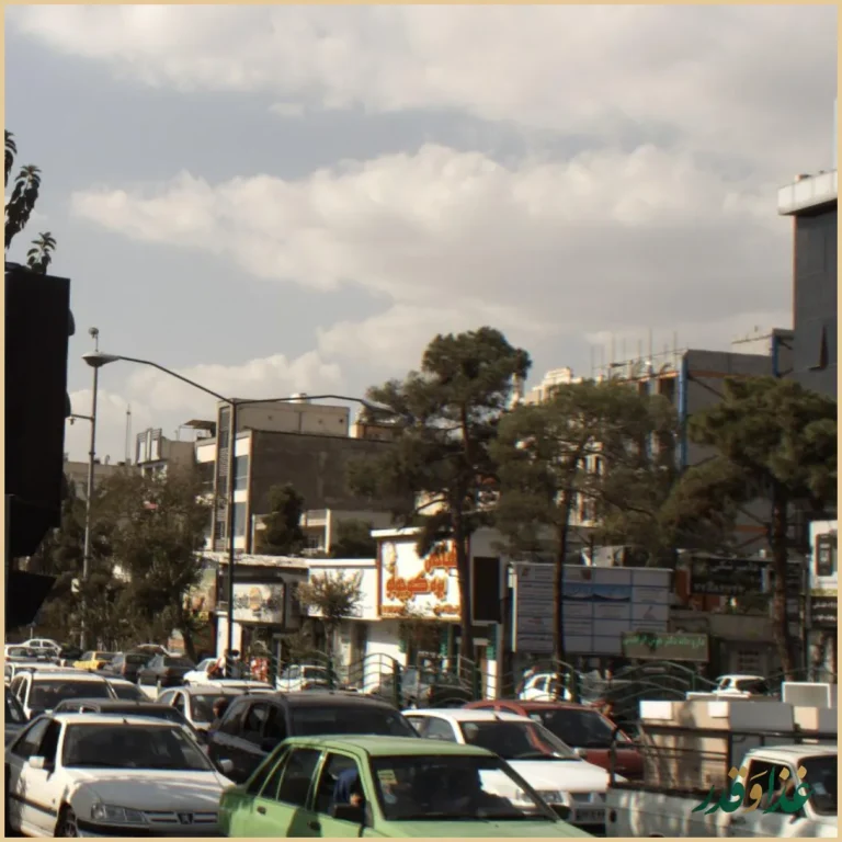 طباخی بره کوچولو