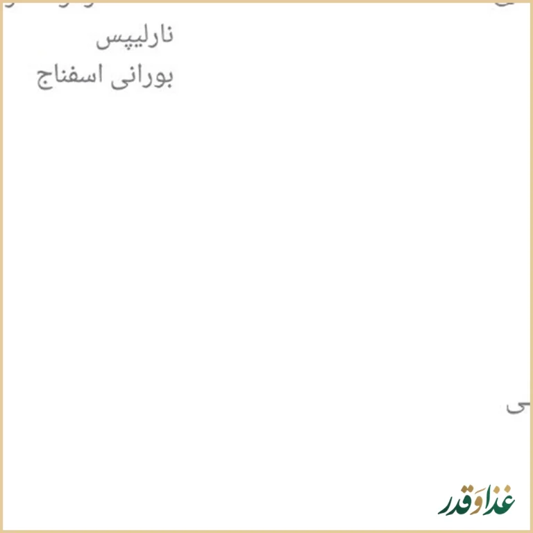 فست فود بوفه کانتینر