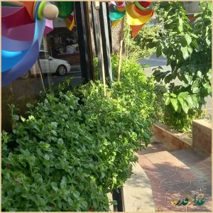 رستوران ایتالیایی کاپری