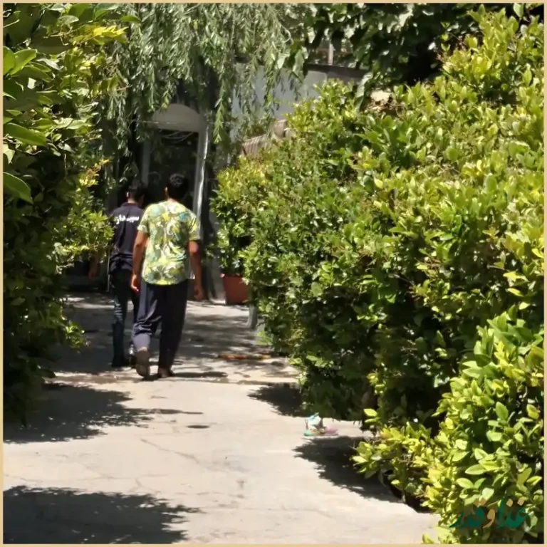 رستوران سپیدار