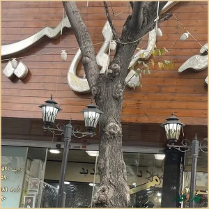 جوجه کبابی میلاد