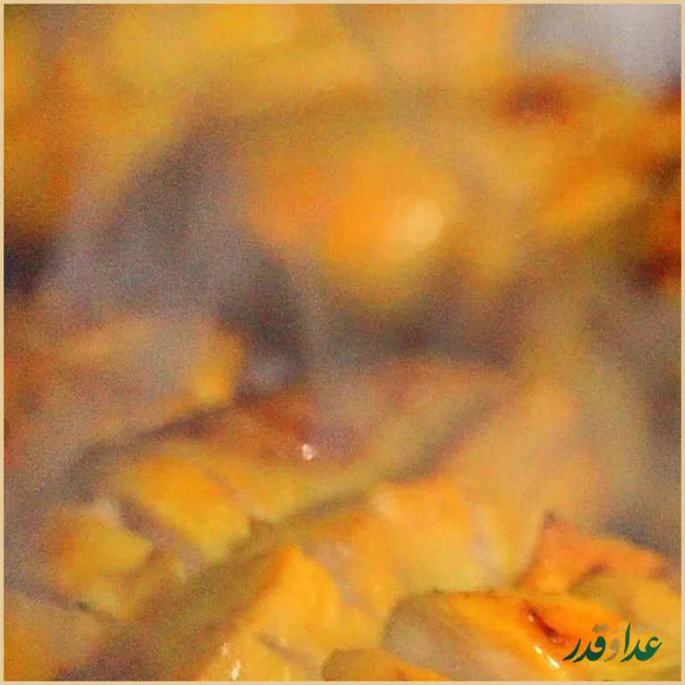 کباب سنتی تک بناب