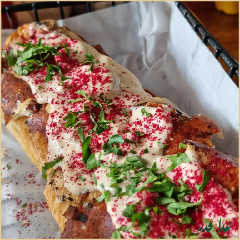 رستوران هاستر هات داگ