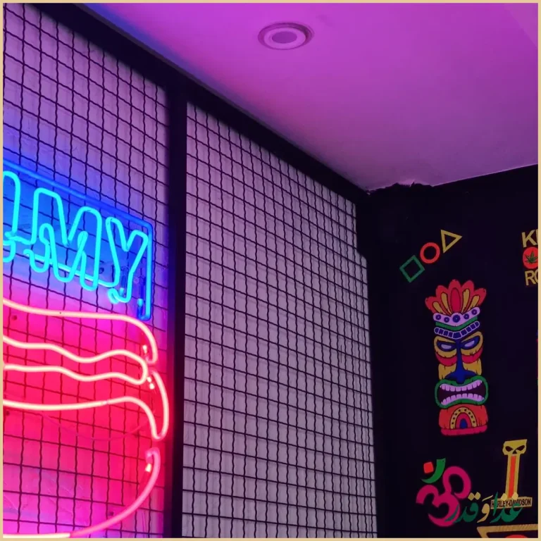 رستوران هاستر هات داگ