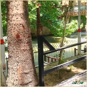 باغ رستوران رز