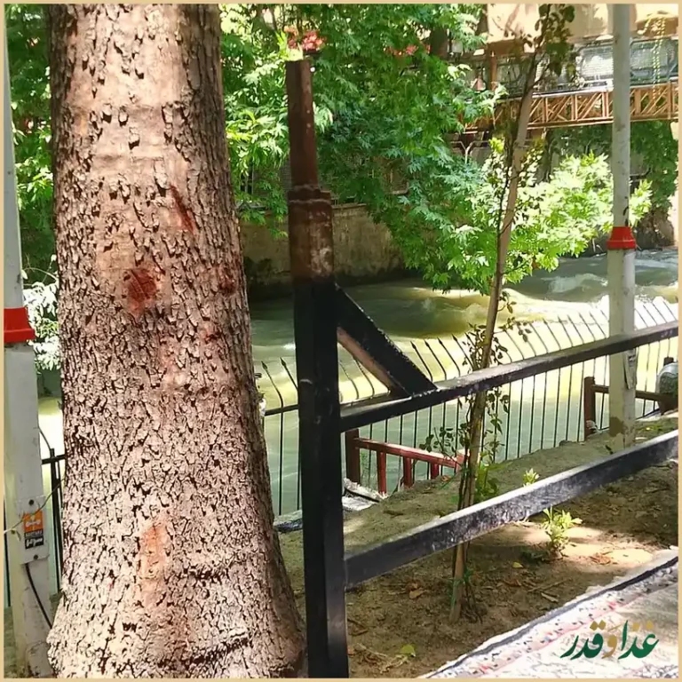 باغ رستوران رز