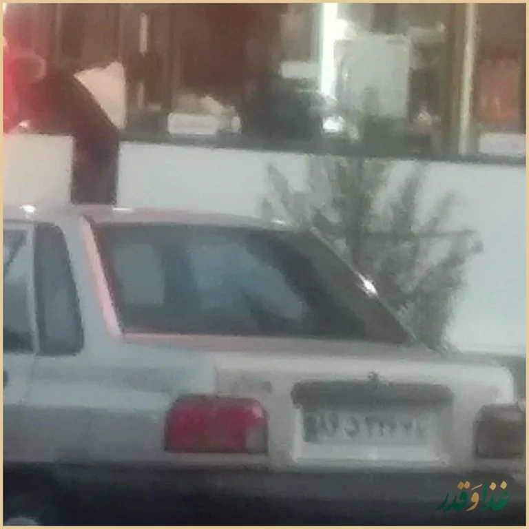 رستوران میرزایی