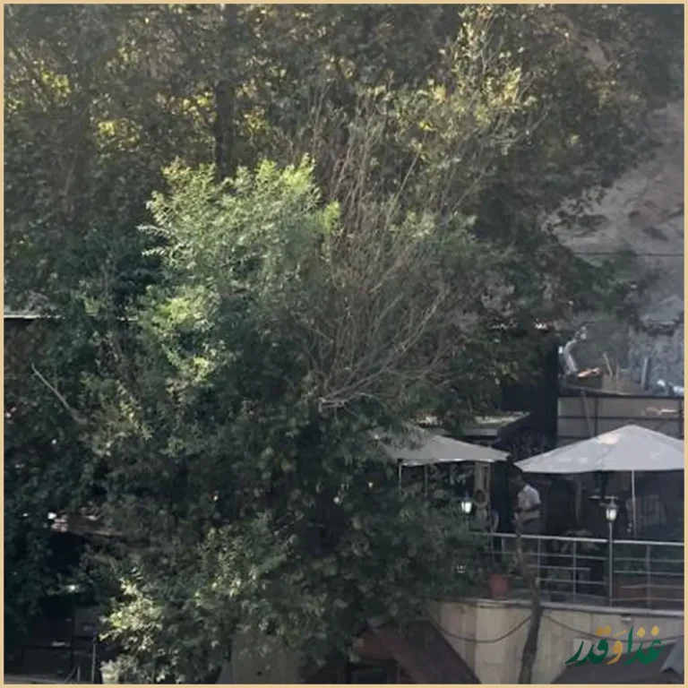 رستوران مهستان