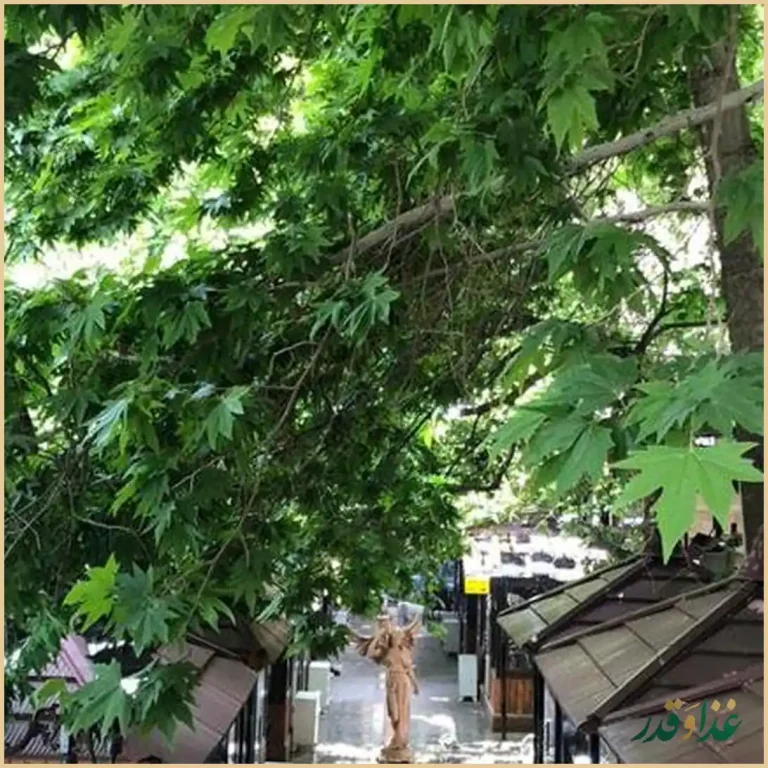 رستوران مهستان