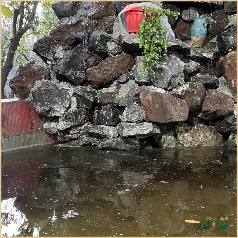 ماهی سرای لمکده