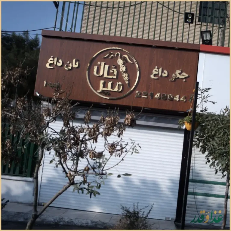 باربیکیو امیرخان