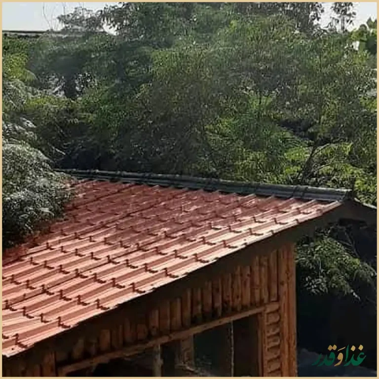 مجموعه عمارت نیما 1