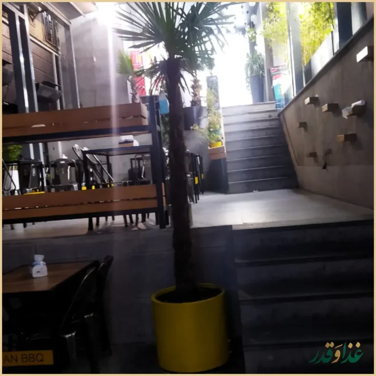 تهران باربیکیو