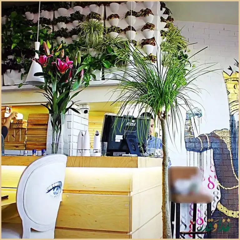 کافه رستوران ایتی ایت