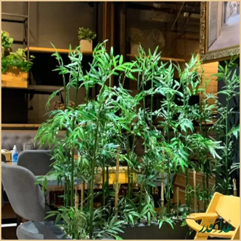 چلوکبابی مهران تبریز