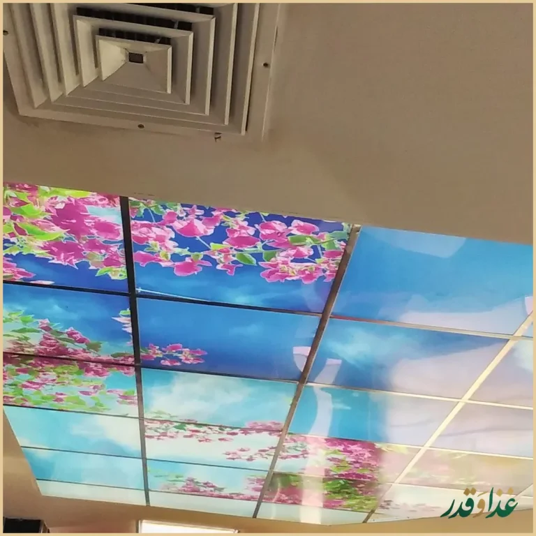 فست فود نشاط