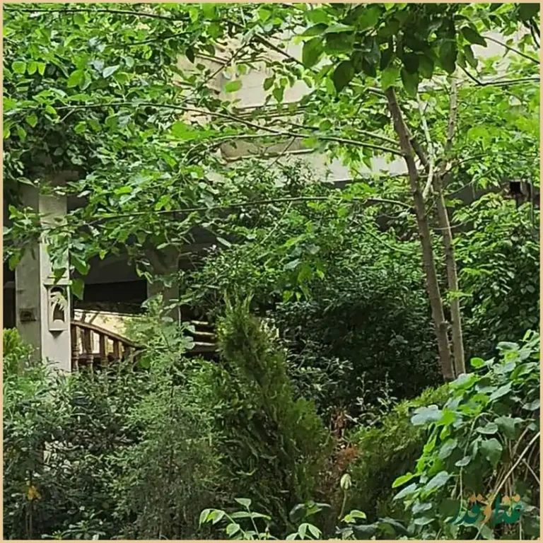 رستوران ماهی سرای سنگلج