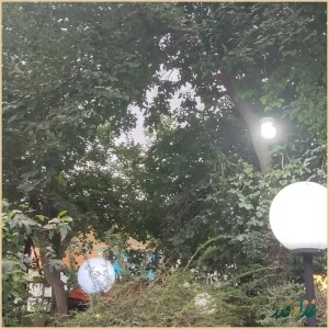 باغ رستوران صدف