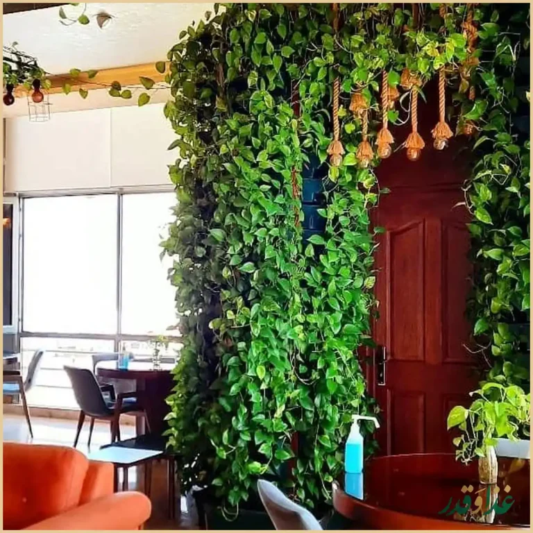 کافه رستوران طهران بین