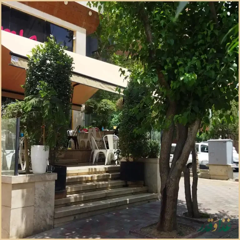 جیلیز ویلیز