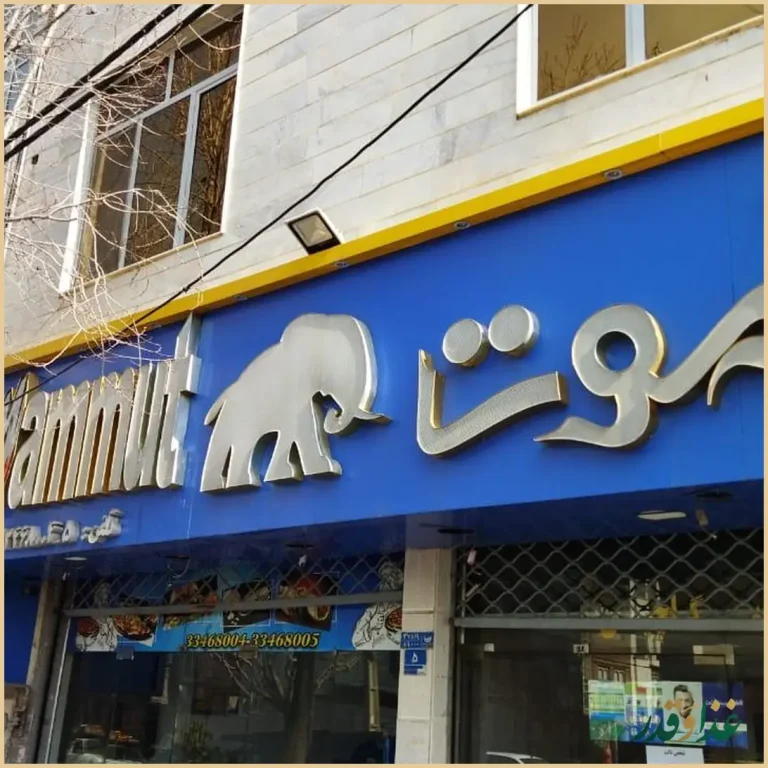 فست فود ماموت