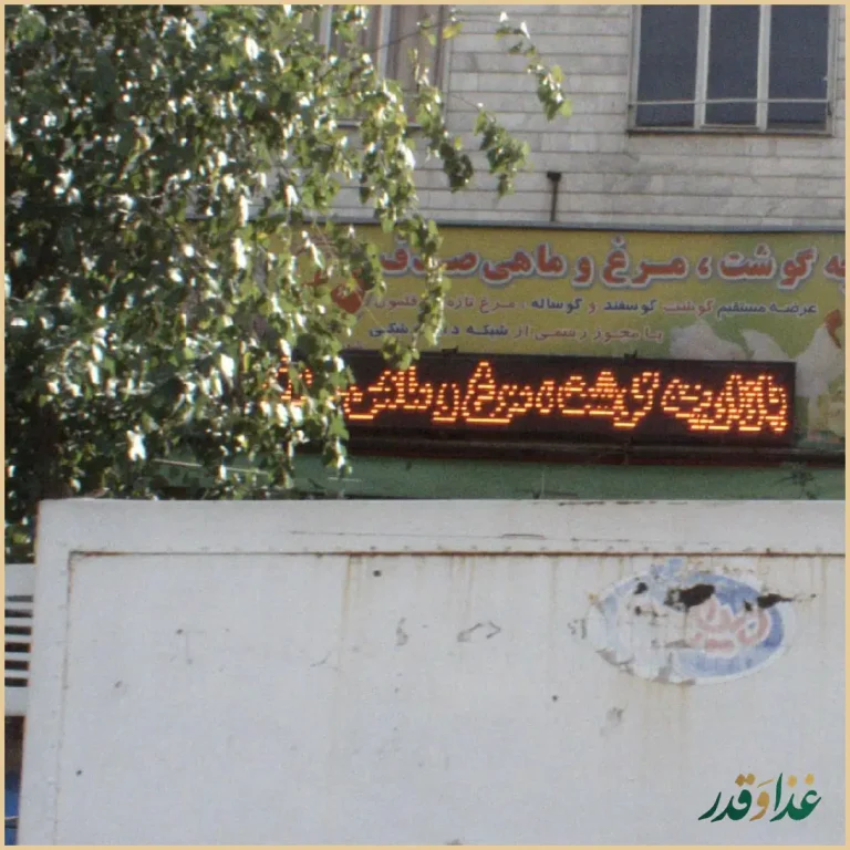 تهیه غذای صدف