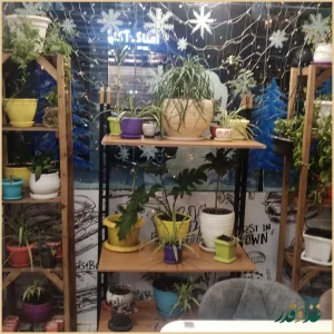 فست فود ترنگ