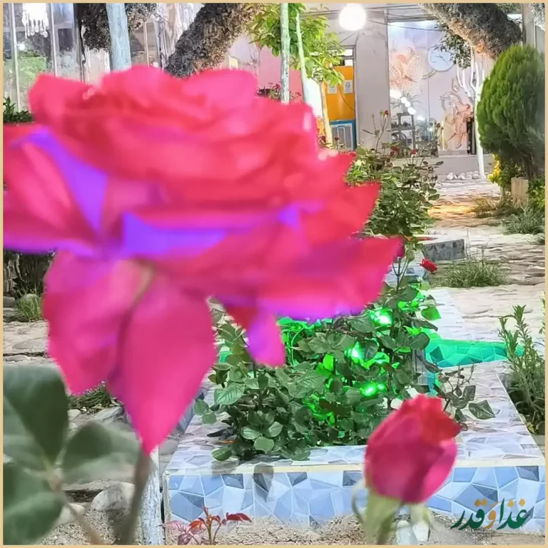 باغچه رستوران آنا جان