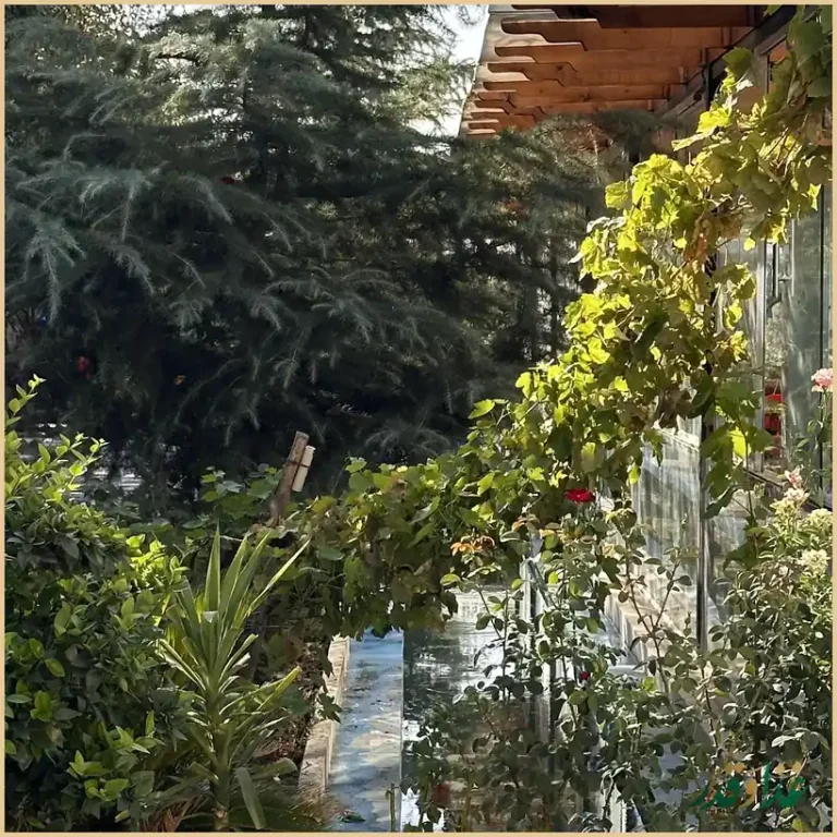 باغ کافه رستوران خانوادگی کسری