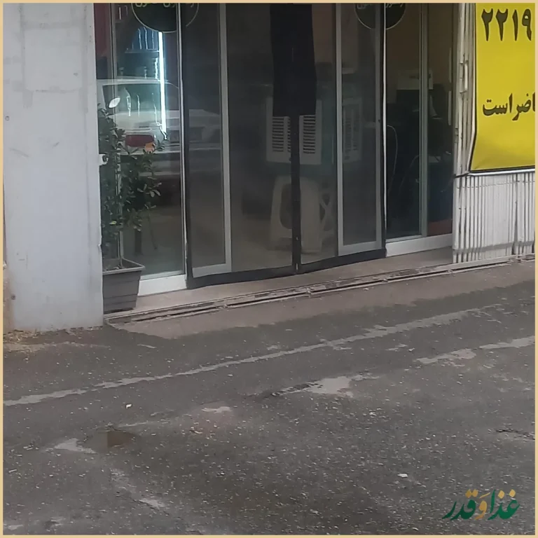 تهیه غذا خاتون