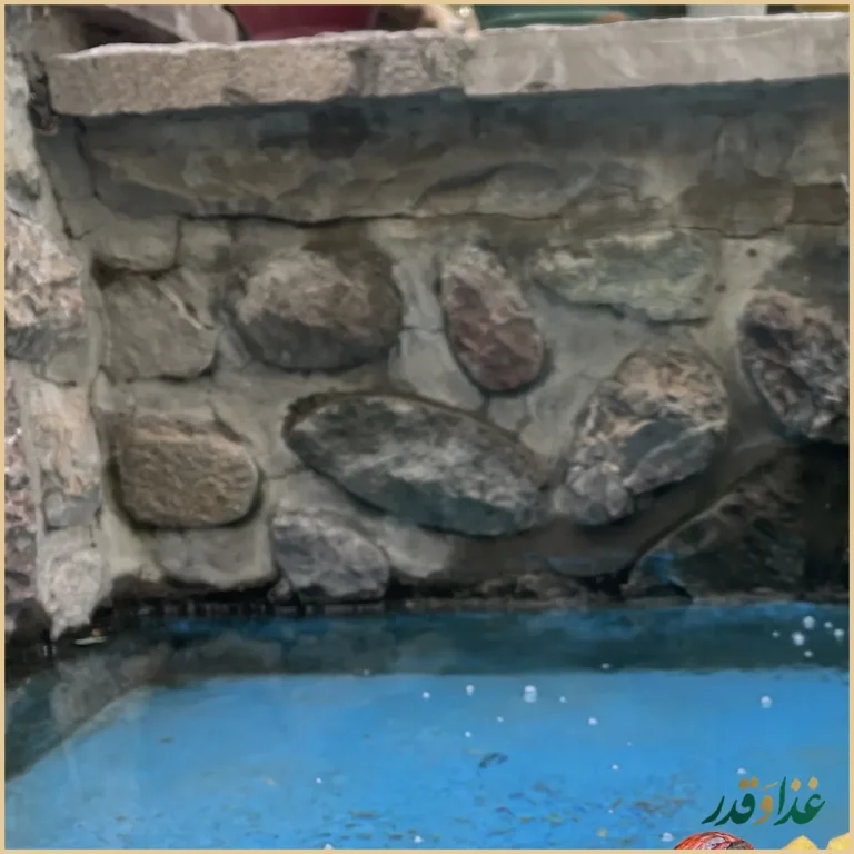 رستوران ناربن(شلتوک سابق)