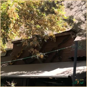 جگرسرای کلبه