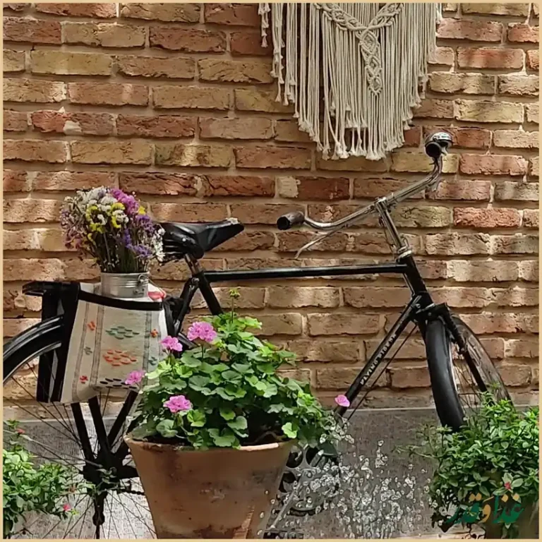 کافه خونه البرز