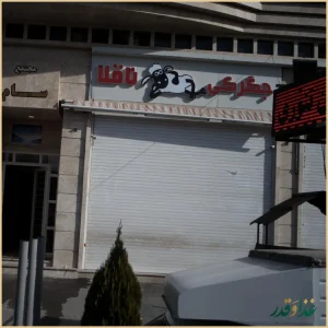 جگرکی ناقلا