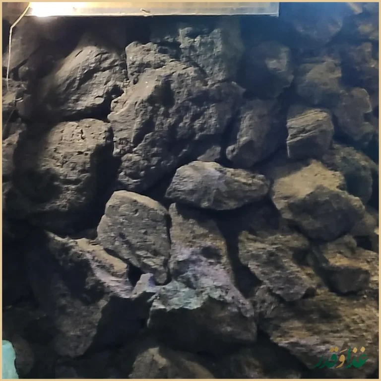 رستوران بیستون