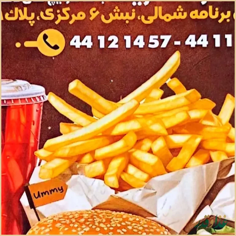 فست فود و پیتزا پانی