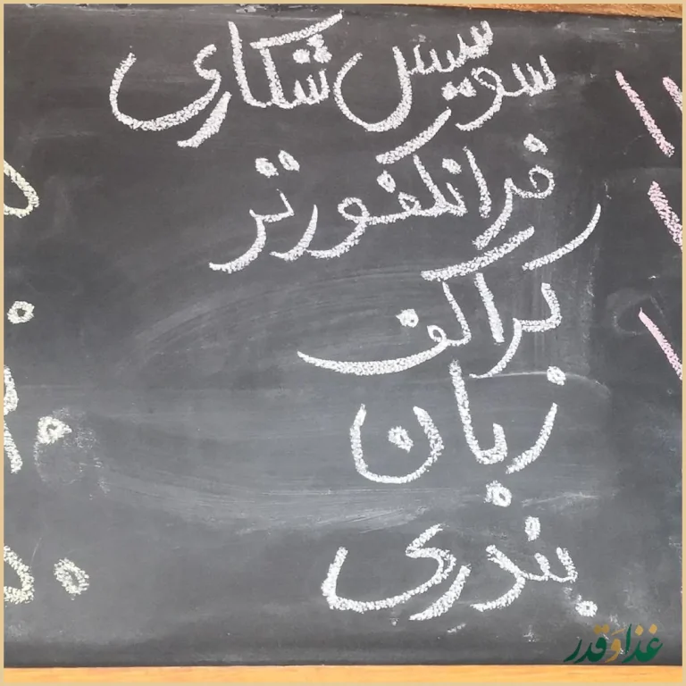 فست فود و پیتزا پانی